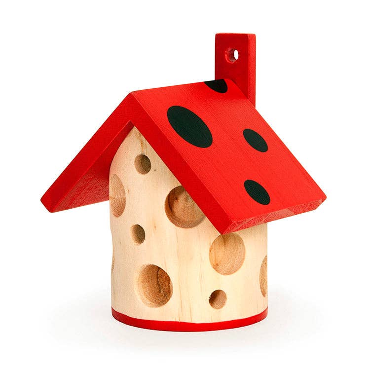 Ladybug House