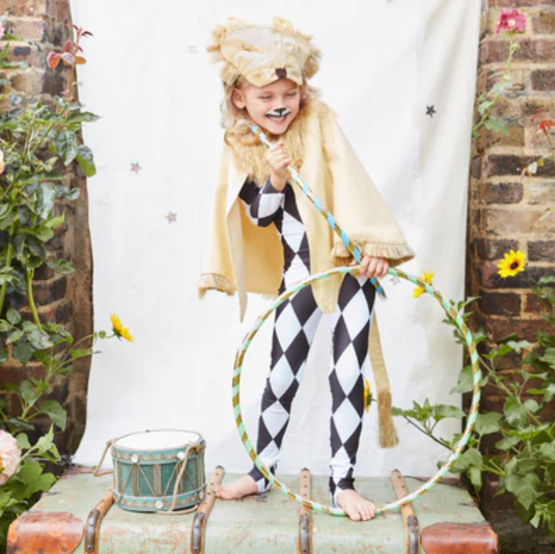 Lion Costume