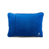 Try Me Needlepoint Pillow