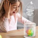 Dinosaur Hatching Surprise Eggs for Kids - 6 Pack