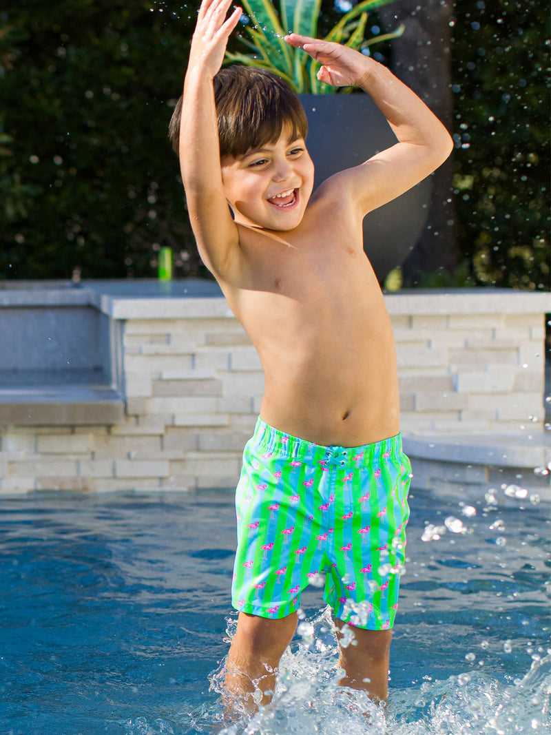 Boys Neon Flamingo Stripe Swim Trunks
: Green / 6-12m