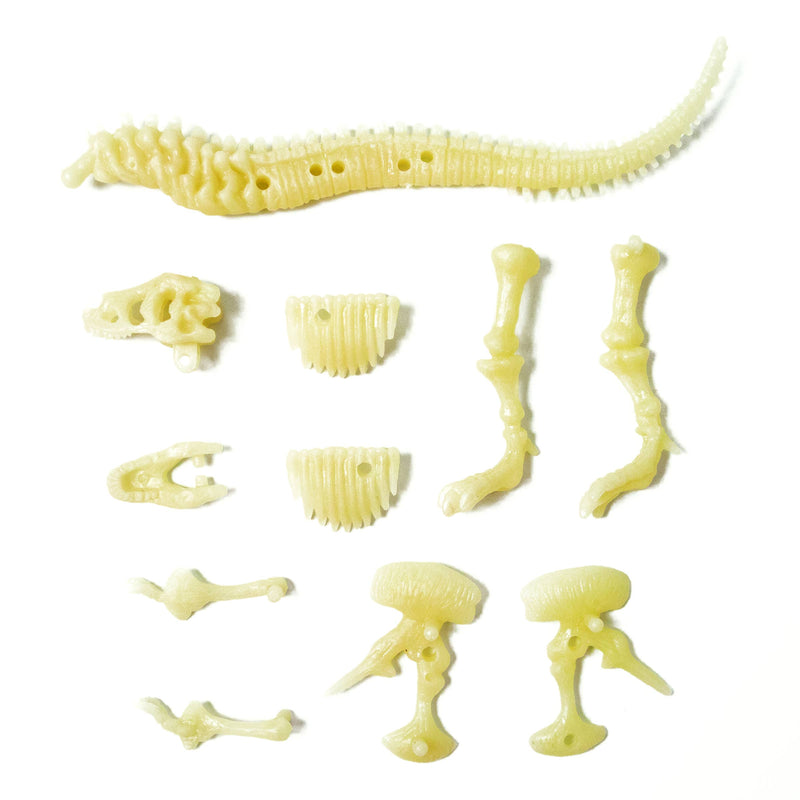 4M Glow T-Rex Skeleton Diy Kit-Puzzle