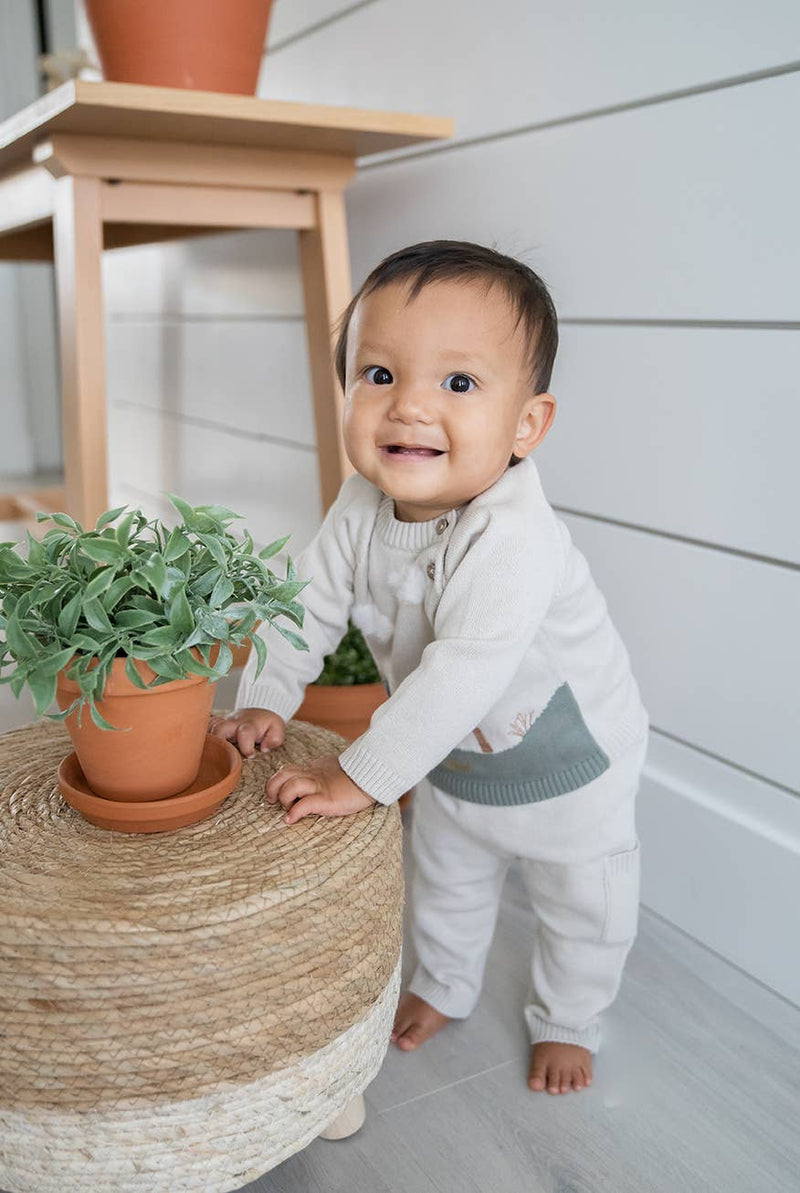 Baby Side Pocket Sweater Knit Pants FW23 (Organic Cotton): 0-3 Month / Teal Blue