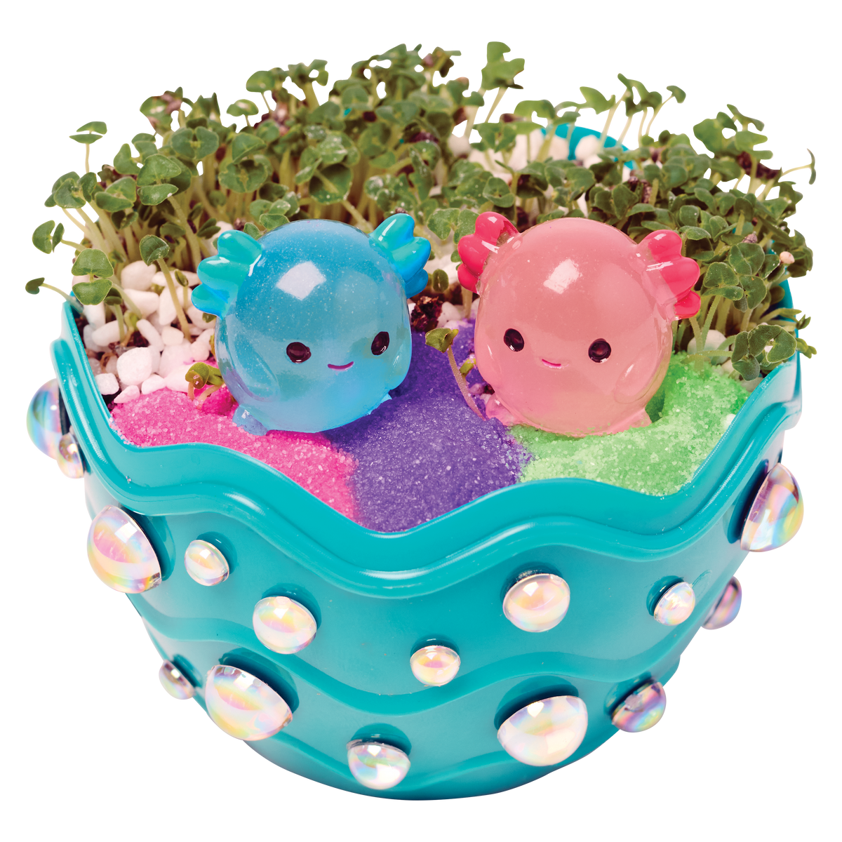 Grow a Mini Garden - Axolotl - DIY Craft Kit for Kids
