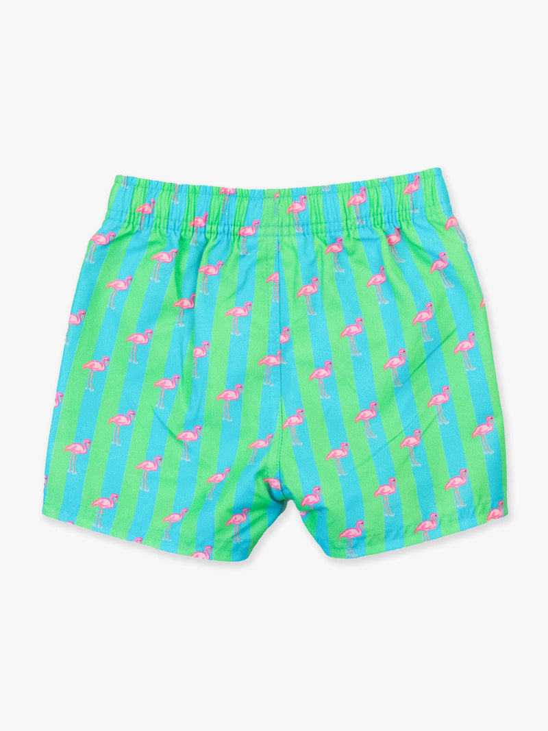 Boys Neon Flamingo Stripe Swim Trunks
: Green / 12-18m