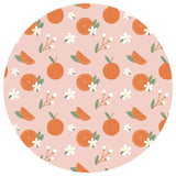 Freshly Squeezed Oranges Bamboo Convertible Pajamas Florida Baby Gift: 3-6M