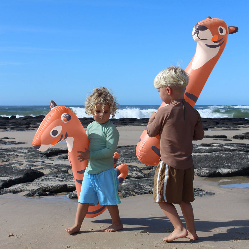 Kids Inflatable Noodle Tino the Tiger Clay Set of 2 – A Little Wyld