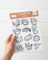 Color Me Sticker Sheet Desert Animals