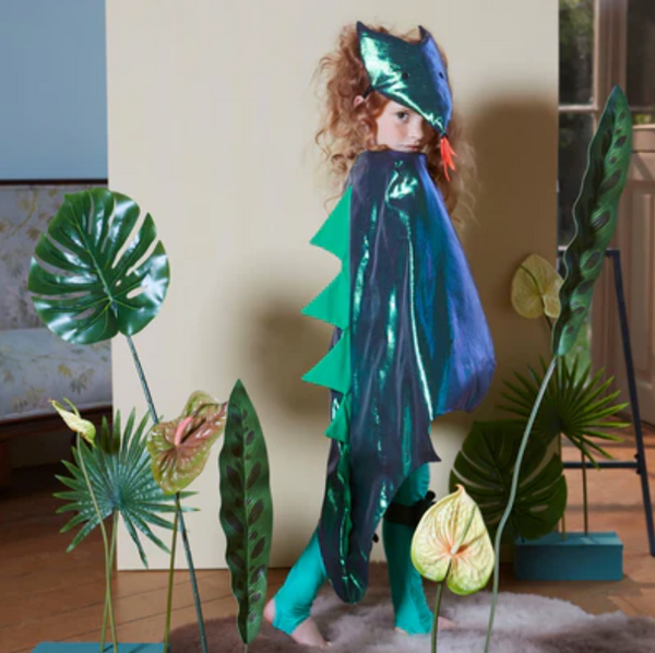 Dragon Costume