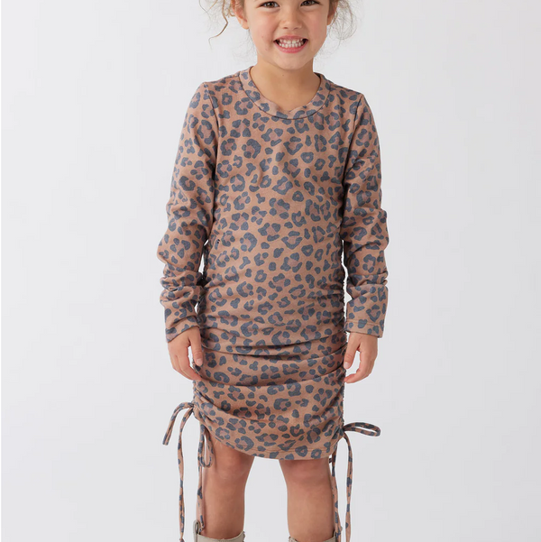 Leopard Long Sleeve Dress