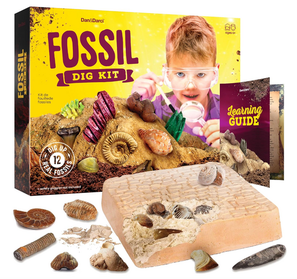 Fossil Dig Kit