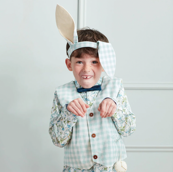 Gingham Bunny Costume