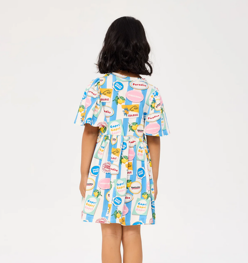 Paradiso Holiday Dress