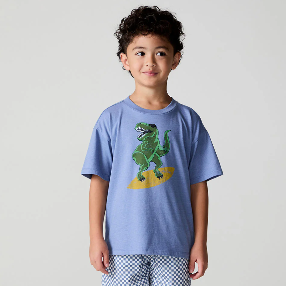 Chaser Surfin T-Rex Tee featuring a colorful dinosaur surfing graphic on soft cotton fabric.