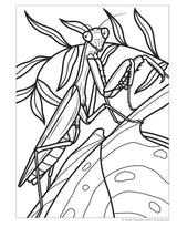 Coloring Book - Super Cool Bugs and Spiders