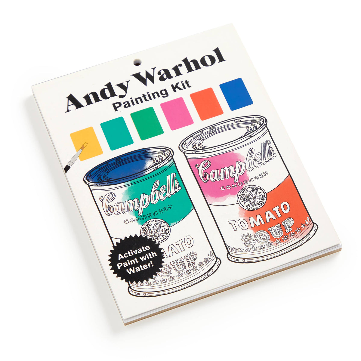 Andy Warhol Painting Kit