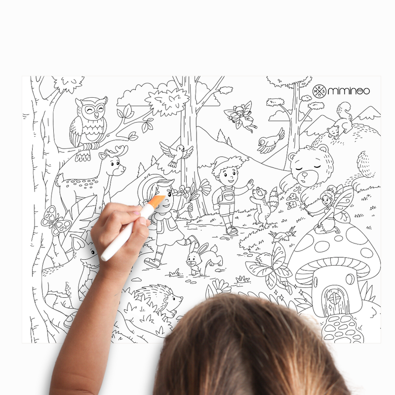 Set Silicone Reusable Coloring Tablemat Enchanted Forest