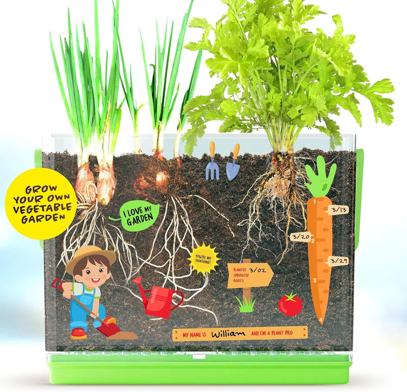 Root Viewer Kit for Kids