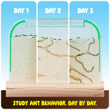 Ant Farm Kit for Kids, Sand Habitat, Includes Ant Voucher