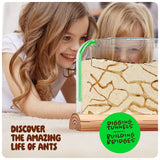 Ant Farm Kit for Kids, Sand Habitat, Includes Ant Voucher