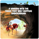 Ant Farm Kit for Kids, Sand Habitat, Includes Ant Voucher