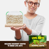 Ant Farm Kit for Kids, Sand Habitat, Includes Ant Voucher
