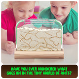 Ant Farm Kit for Kids, Sand Habitat, Includes Ant Voucher