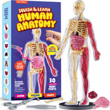 Dan&Darci Squishy Human Anatomy Squishy Body Model