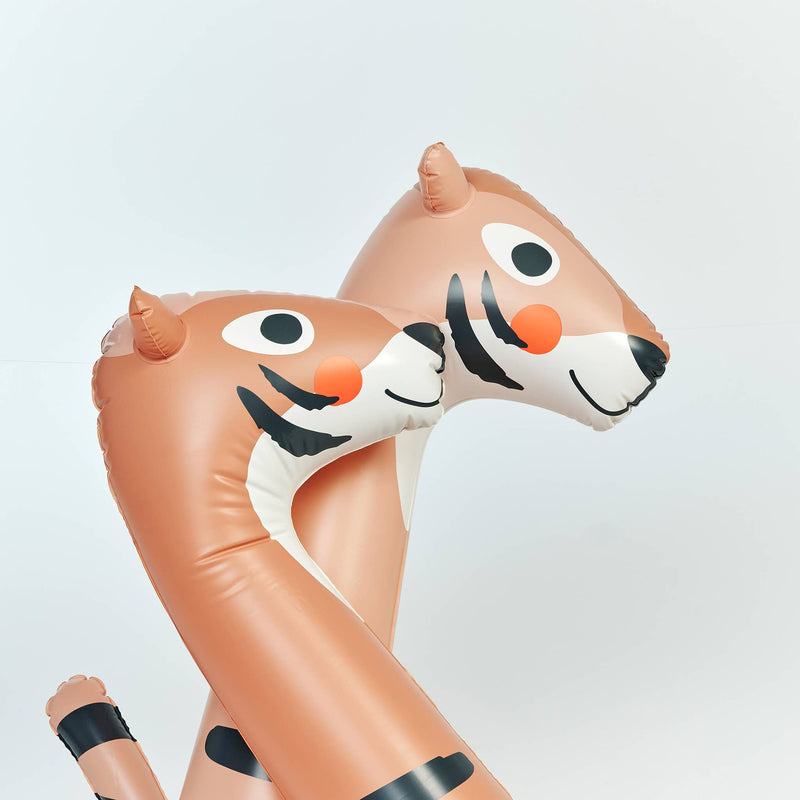 Kids Inflatable Noodle Tino the Tiger Clay Set of 2 – A Little Wyld