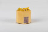 Original Match Holder- Brights: Pink