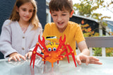 4M Solar Hybrid Crabot, Green Science DIY Kit
