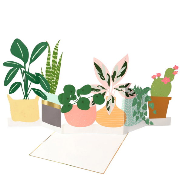 Potted Plant Concertina Card